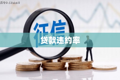 七星贷款违约率