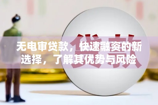 吴忠无电审贷款，快速融资的新选择，了解其优势与风险