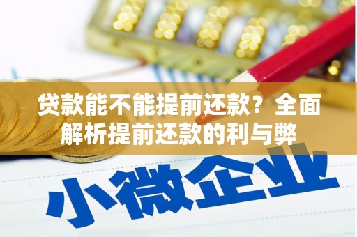 嘉荫贷款能不能提前还款？全面解析提前还款的利与弊