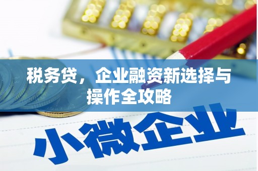 峨边税务贷，企业融资新选择与操作全攻略