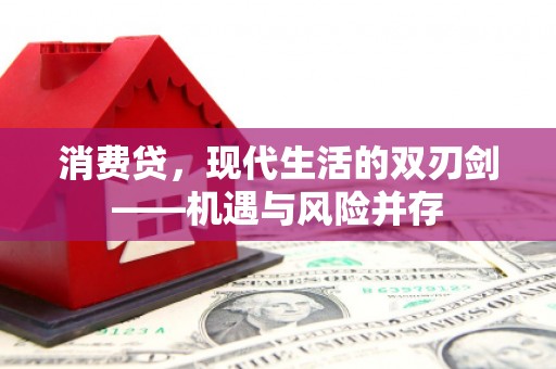 六甲消费贷，现代生活的双刃剑——机遇与风险并存