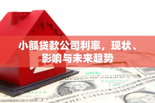 曲水小额贷款公司利率，现状、影响与未来趋势