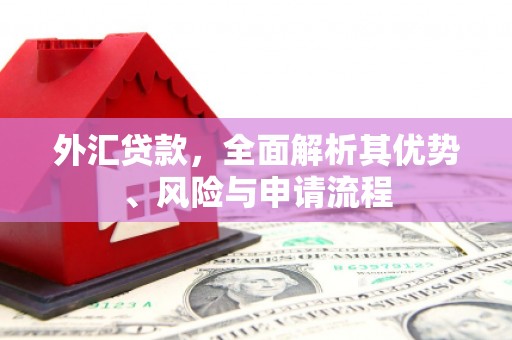 汐止外汇贷款，全面解析其优势、风险与申请流程