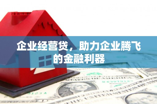 新泰企业经营贷，助力企业腾飞的金融利器
