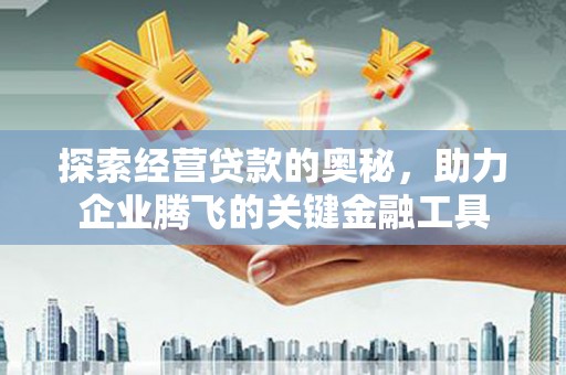 田家庵探索经营贷款的奥秘，助力企业腾飞的关键金融工具
