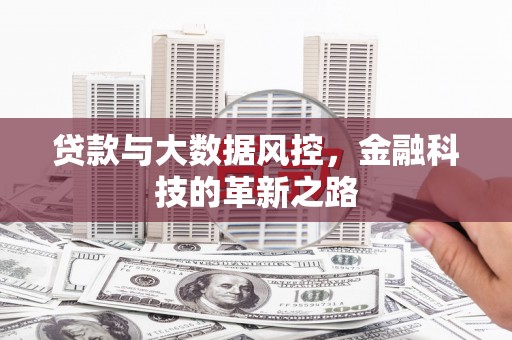 芦洲贷款与大数据风控，金融科技的革新之路