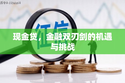 南海现金贷，金融双刃剑的机遇与挑战