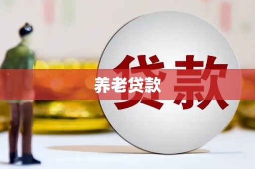 武江养老贷款