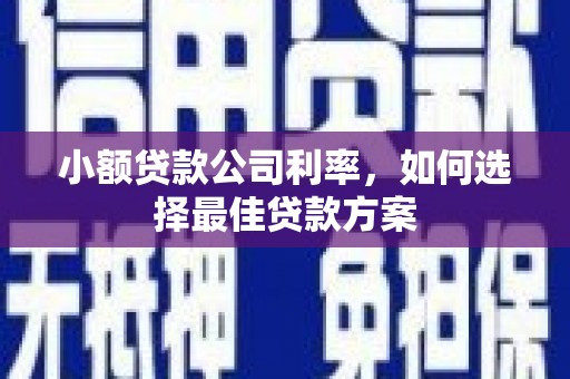 阿尔山小额贷款公司利率，如何选择最佳贷款方案