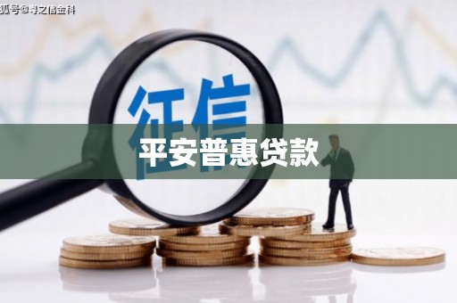 洛宁平安普惠贷款