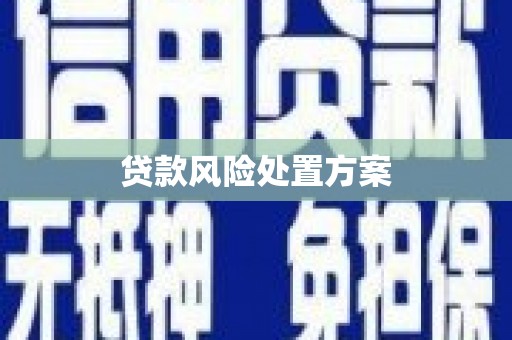 长葛贷款风险处置方案