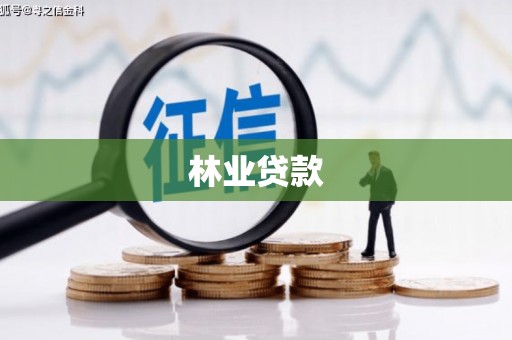 大丰林业贷款