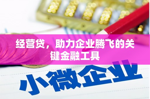 越西经营贷，助力企业腾飞的关键金融工具