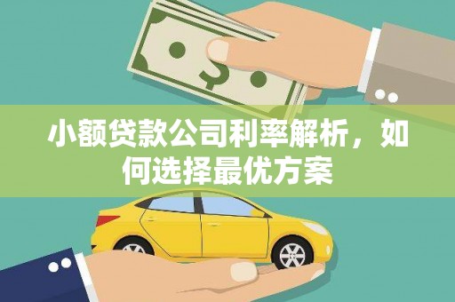 光明新区小额贷款公司利率解析，如何选择最优方案