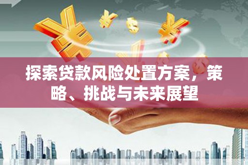 阿勒泰探索贷款风险处置方案，策略、挑战与未来展望