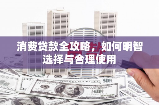 丽水消费贷款全攻略，如何明智选择与合理使用