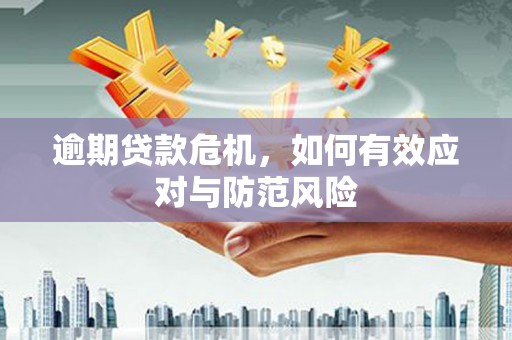 宁明逾期贷款危机，如何有效应对与防范风险