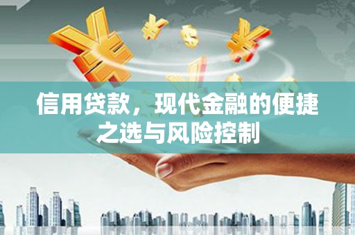 会理信用贷款，现代金融的便捷之选与风险控制