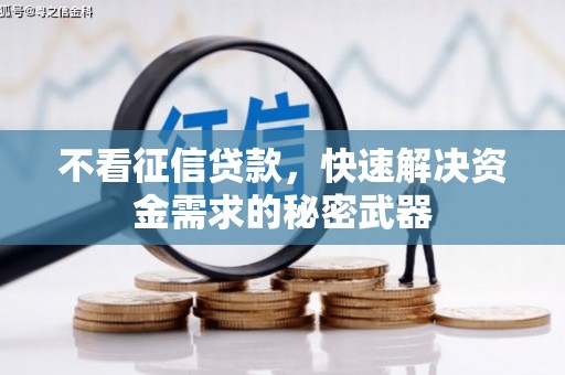 阿巴嘎旗不看征信贷款，快速解决资金需求的秘密武器