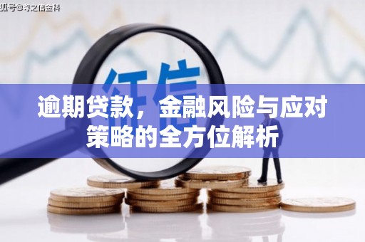 莿桐逾期贷款，金融风险与应对策略的全方位解析