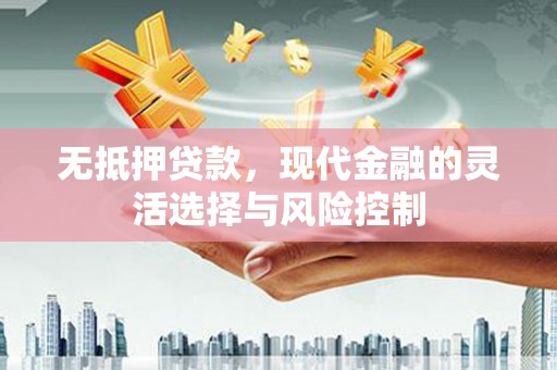 嘉黎无抵押贷款，现代金融的灵活选择与风险控制