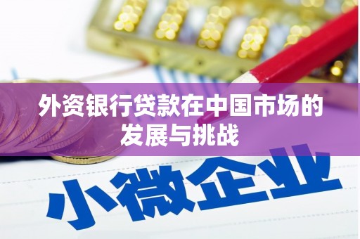 康马外资银行贷款在中国市场的发展与挑战