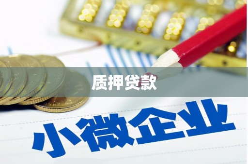 武隆质押贷款
