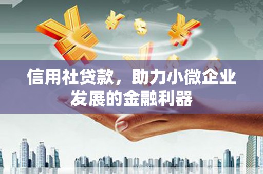 曹妃甸信用社贷款，助力小微企业发展的金融利器