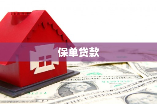 嘉禾保单贷款