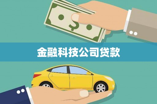 康马金融科技公司贷款