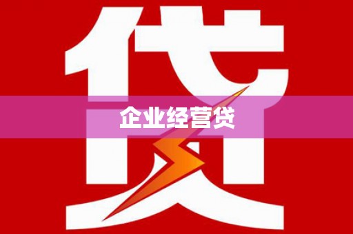 乐东企业经营贷