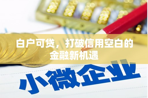 乡城白户可贷，打破信用空白的金融新机遇