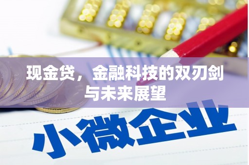 涟水现金贷，金融科技的双刃剑与未来展望