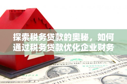 北仑探索税务贷款的奥秘，如何通过税务贷款优化企业财务