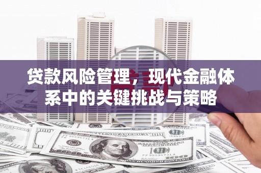 西固贷款风险管理，现代金融体系中的关键挑战与策略