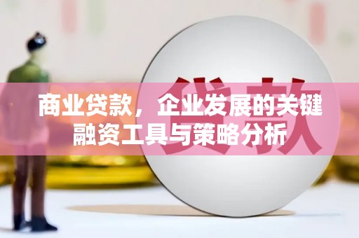 鱼峰商业贷款，企业发展的关键融资工具与策略分析