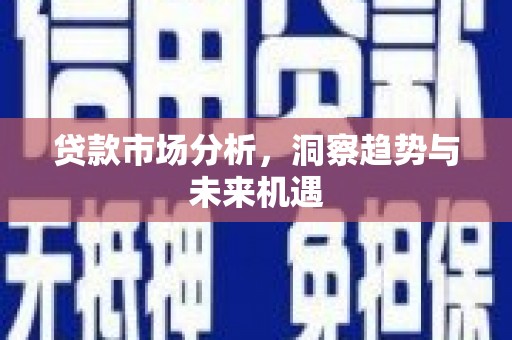 西华贷款市场分析，洞察趋势与未来机遇