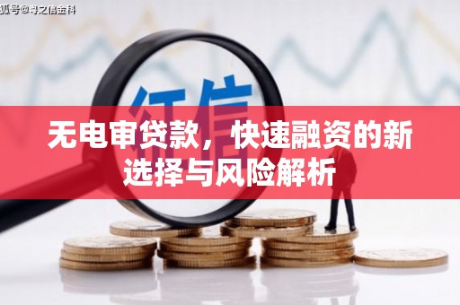 横县无电审贷款，快速融资的新选择与风险解析