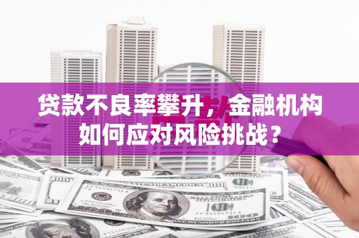 射洪贷款不良率攀升，金融机构如何应对风险挑战？