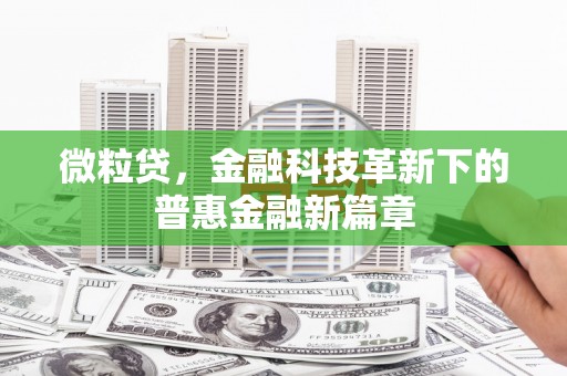 蒙阴微粒贷，金融科技革新下的普惠金融新篇章