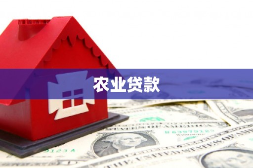 石城农业贷款