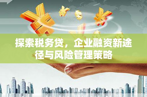 晋宁探索税务贷，企业融资新途径与风险管理策略