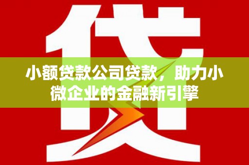荥阳小额贷款公司贷款，助力小微企业的金融新引擎