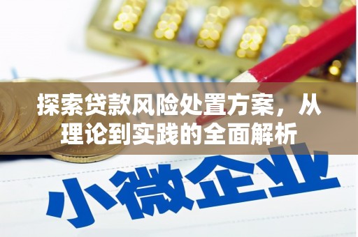 大厂探索贷款风险处置方案，从理论到实践的全面解析
