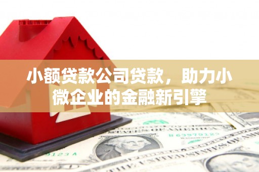 新庄小额贷款公司贷款，助力小微企业的金融新引擎