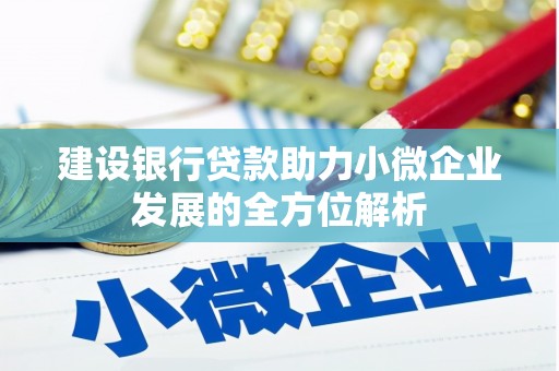 凉山建设银行贷款助力小微企业发展的全方位解析