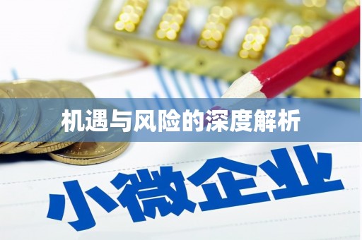 永新机遇与风险的深度解析