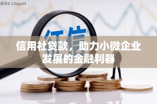 瑞穗信用社贷款，助力小微企业发展的金融利器