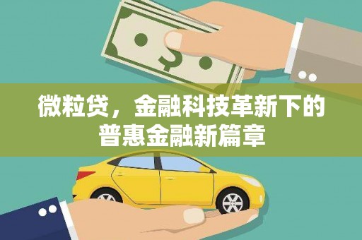 伍家岗微粒贷，金融科技革新下的普惠金融新篇章