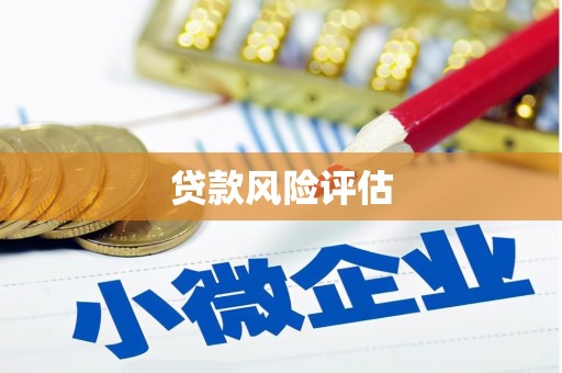 零陵贷款风险评估